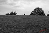Cjp_2006_09_22_105827_NB.jpg