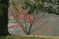 Cjp_2006_10_15_142155.jpg