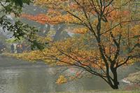 Cjp_2006_10_15_142403.jpg