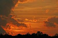 Cjp_2006_10_27_183052_2.jpg