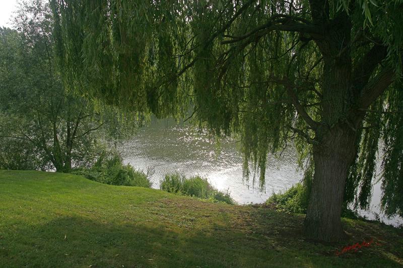 Cjp_2007_08_21_184215.jpg