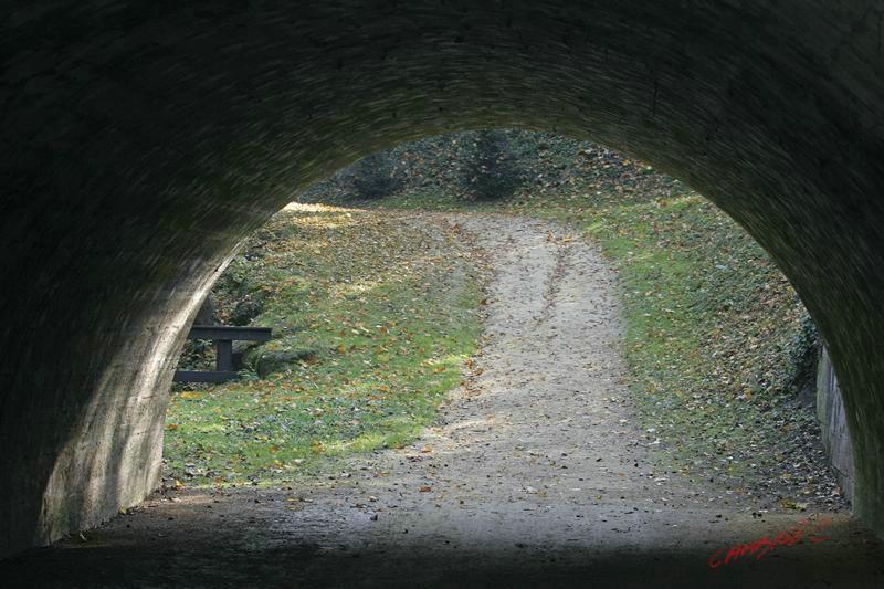 Cjp_2007_10_15_114248.jpg