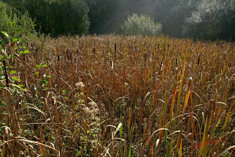 Cjp_2007_10_15_120217.jpg