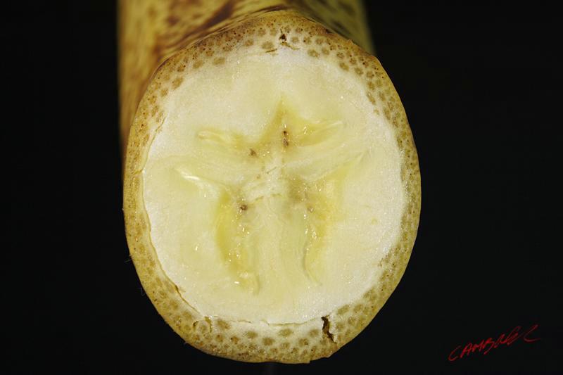 Cjp_2008_01_20_114242.jpg