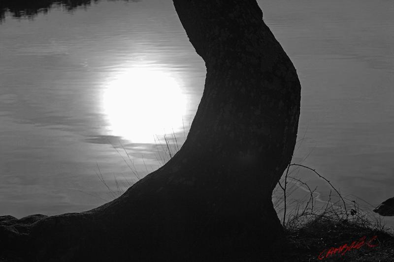 Cjp_2008_02_08_175536_NB.jpg