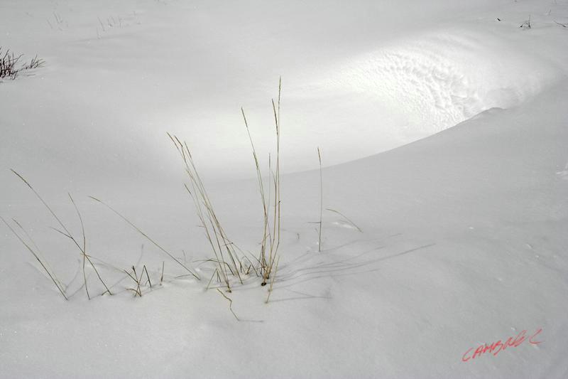 Cjp_2008_03_11_142422.jpg