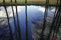 Cjp_2008_02_02_160807.jpg