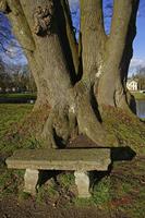 Cjp_2008_02_02_164015.jpg