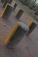 Cjp_2008_02_04_181851.jpg