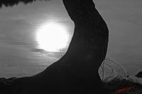 Cjp_2008_02_08_175536_NB.jpg