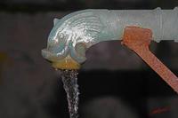 Cjp_2008_03_09_082700.jpg