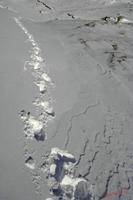 Cjp_2008_03_11_103511.jpg