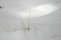 Cjp_2008_03_11_142422.jpg