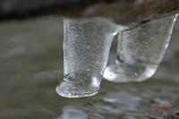 Cjp_2008_03_12_075133.jpg