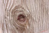 Cjp_2008_03_12_080927.jpg