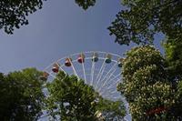 Cjp_2008_05_07_175731.jpg