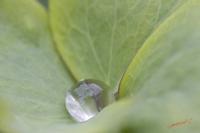 Cjp_2008_05_29_154824.jpg