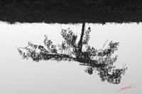 Cjp_2008_06_21_072313_NB.jpg
