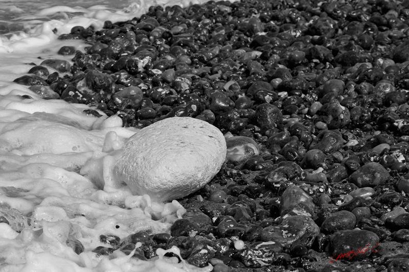 Cjp_2008_09_15_143216_NB.jpg