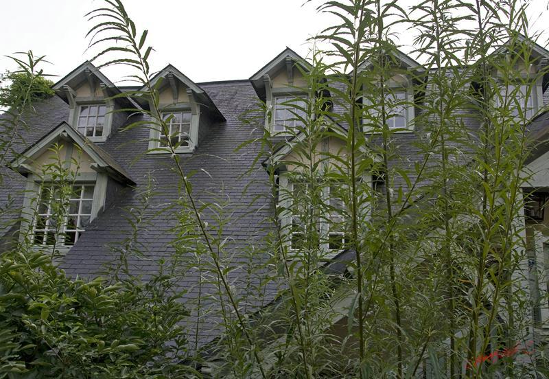 Cjp_2008_09_15_181012_R.jpg
