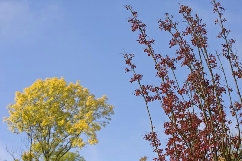 Cjp_2008_10_09_104344.jpg