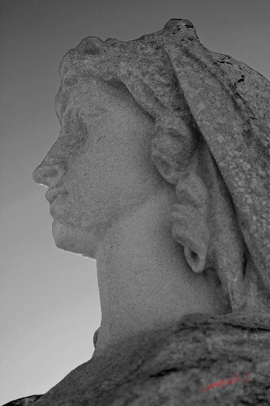 Cjp_2008_11_22_104435_NB1.jpg