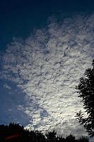 Cjp_2008_08_09_200110.jpg