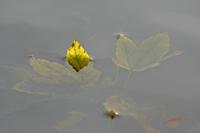 Cjp_2008_10_08_102809.jpg