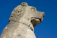 Cjp_2008_11_22_103827.jpg