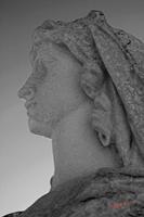 Cjp_2008_11_22_104435_NB1.jpg