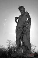 Cjp_2008_11_22_105349_NB2.jpg