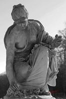 Cjp_2008_11_22_105448_R_NB1.jpg
