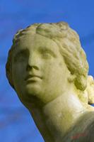 Cjp_2008_11_22_114236_R.jpg