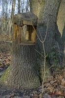 Cjp_2008_12_23_144528.jpg