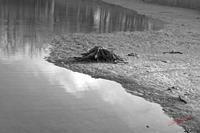 Cjp_2008_12_24_141511_NB.jpg