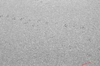 Cjp_2009_01_02_093514_NB.jpg