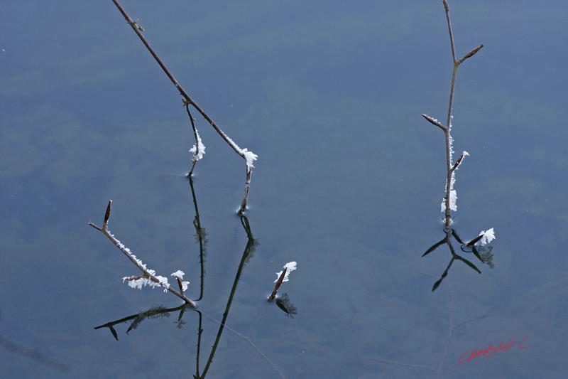 Cjp_2009_01_10_150744_R.jpg