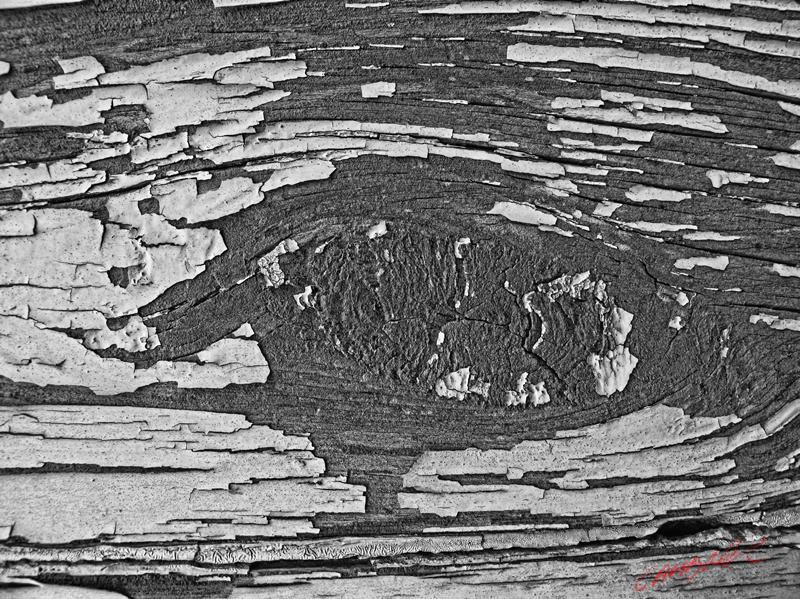 Cjp_2009_07_10_103120_Dark2.jpg