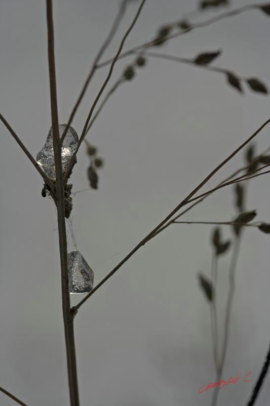 Cjp_2009_12_18_145847.jpg