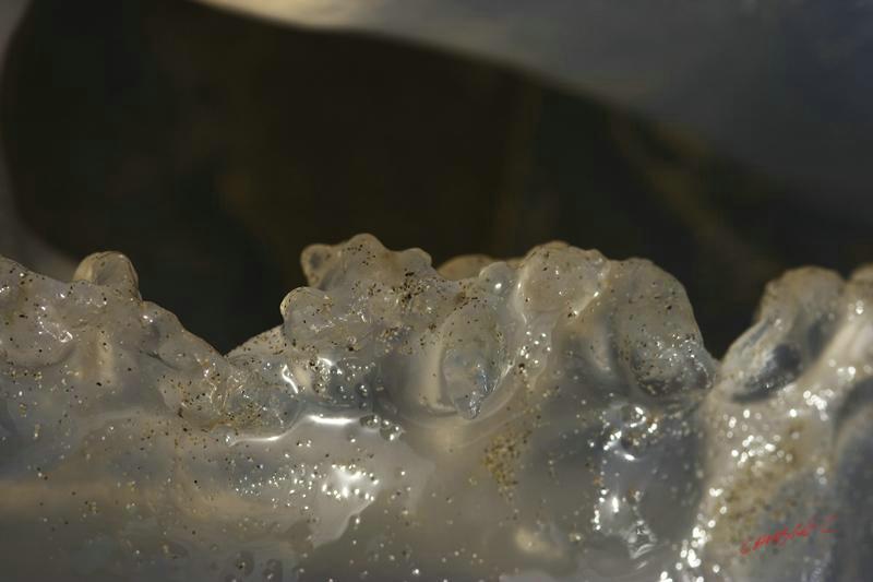 Cjp_2010_07_08_173859.jpg