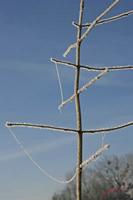 Cjp_2010_01_31_110533.jpg