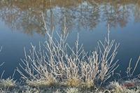 Cjp_2010_01_31_110613.jpg