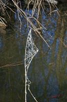 Cjp_2010_01_31_110856.jpg