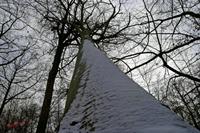 Cjp_2010_02_12_115740.jpg