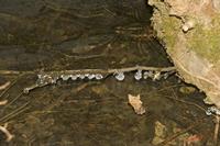 Cjp_2010_02_13_115037.jpg