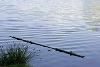 Cjp_2010_05_15_084400.jpg