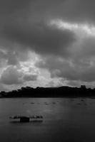 Cjp_2010_07_14_094420_NB.jpg