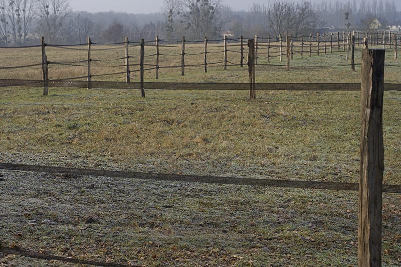Cjp_2011_01_30_105736.jpg
