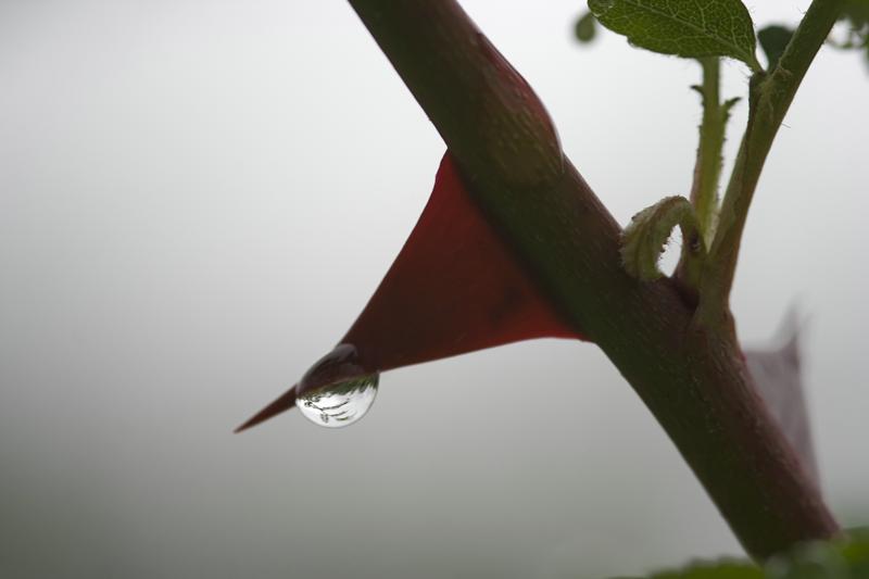 Cjp_2011_07_21_092127.jpg