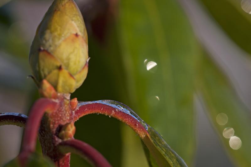 Cjp_2013_03_13_072337-1.jpg
